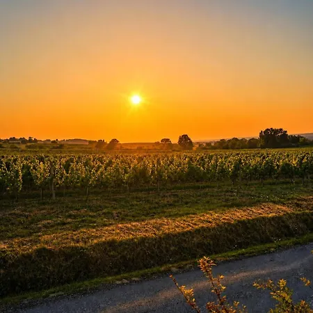 Barns Loft Cote Cuvier * Monbazillac