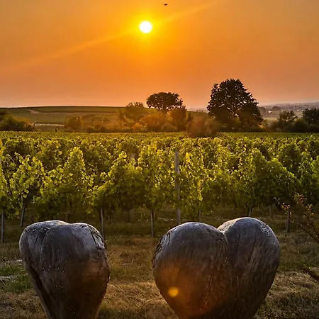 Barns Loft Cote Cuvier Holiday home Monbazillac